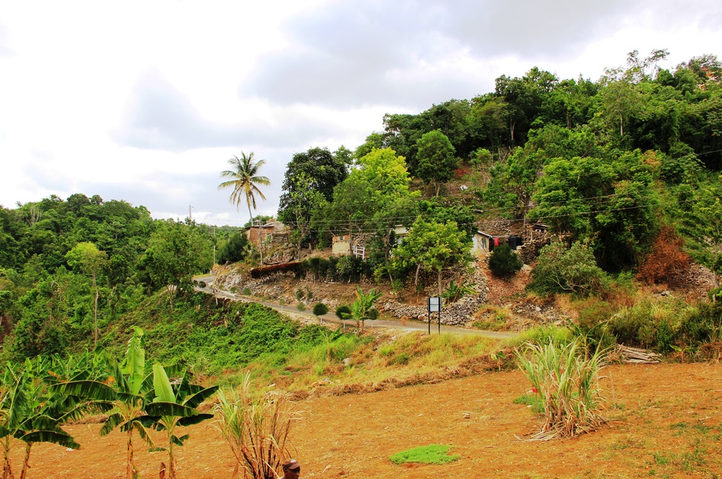 Two New Implementing Entities Accredited To Develop Adaptation Fund 