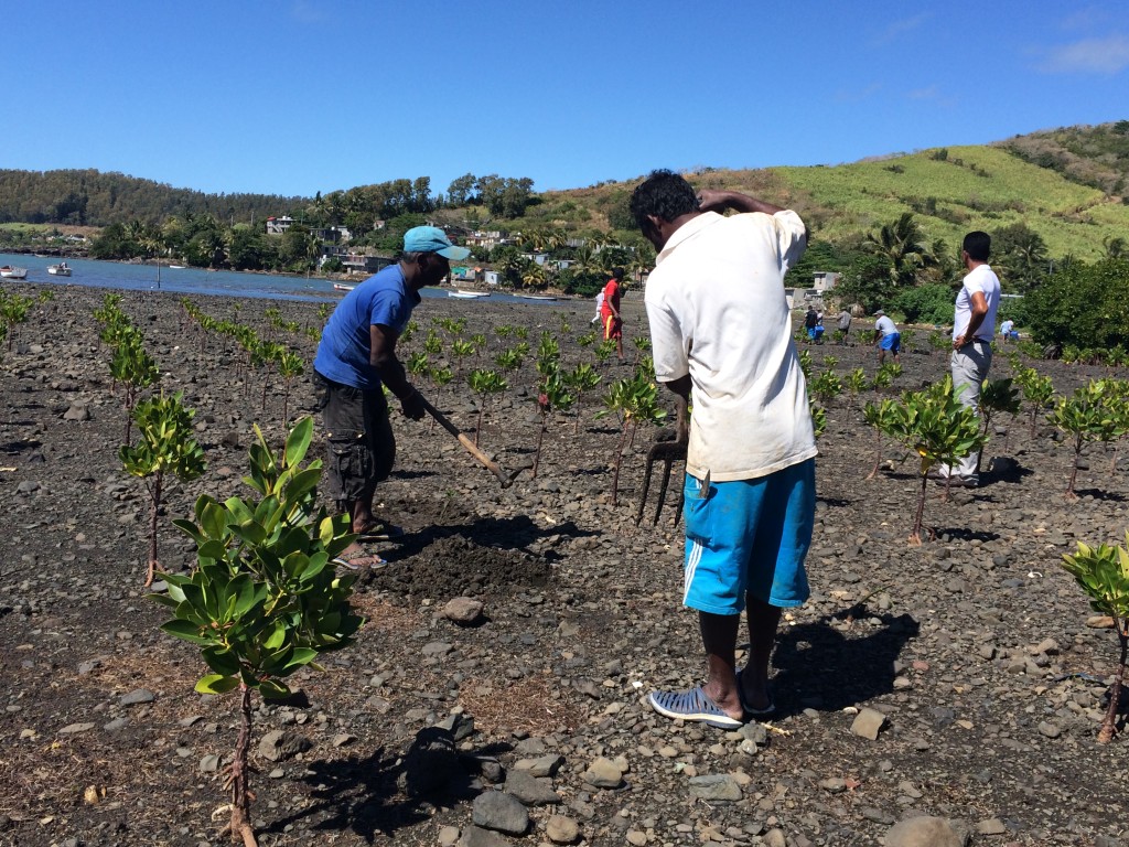Setting up an Emission Reduction Mechanism for Adaptation