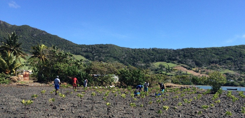 Demand for Funding from Adaptation Fund Reaches Record High of US$ 208.6 Million