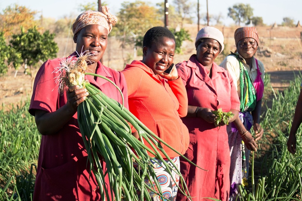 The pilot Community Adaptation Small Grants Facility in South Africa funded by AF and implemented by AF’s accredited National Implementing Entity for South Africa the South African National Biodiversity Institute (SANBI), aims to channel resources to support responses to climate change that are identified and implemented by affected local communities. If approved for implementation, the projects will increase local resilience through the implementation of pragmatic adaptation responses in Mopani. Photo: SANBI