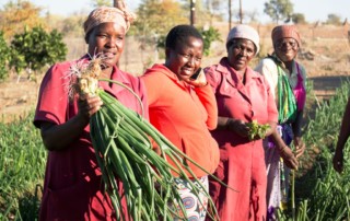 The pilot Community Adaptation Small Grants Facility in South Africa funded by AF and implemented by AF’s accredited National Implementing Entity for South Africa the South African National Biodiversity Institute (SANBI), aims to channel resources to support responses to climate change that are identified and implemented by affected local communities. If approved for implementation, the projects will increase local resilience through the implementation of pragmatic adaptation responses in Mopani. Photo: SANBI