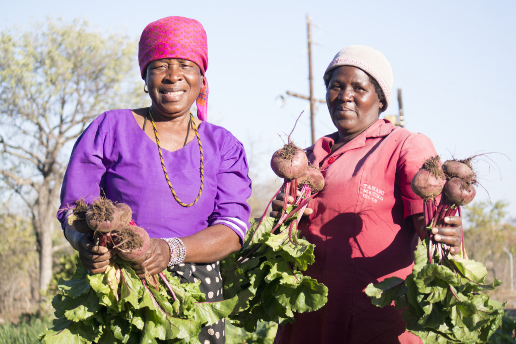 South Africa: Helping Smallholders Improve Crop Production
