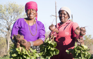 A different SANBI project in Mopani in another area of South Africa to provide small grants to empower rural farmers to adapt to climate change. Photo: SANBI