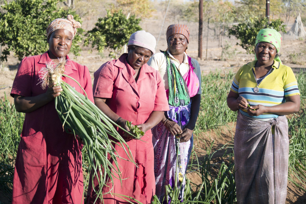 Adaptation Fund’s Fourth Readiness Webinar to Focus on Monitoring and Evaluation