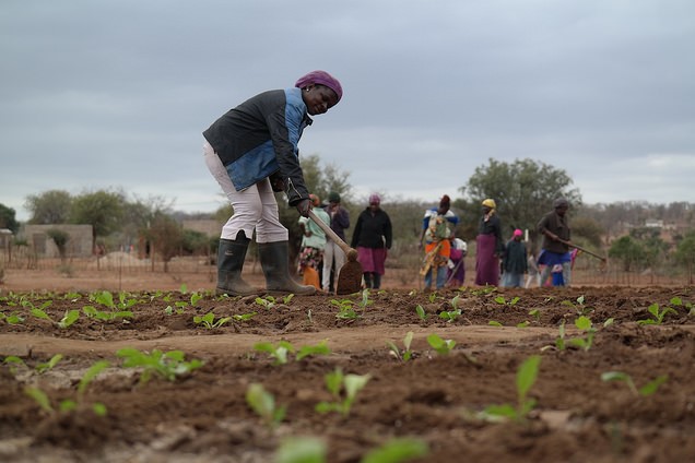 Adaptation Fund In South Africa Adaptation Fund Adaptation Fund In South Africa Adaptation Fund