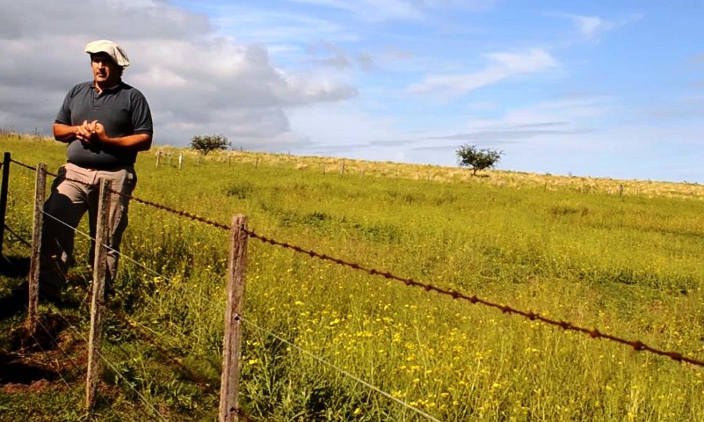 World Bank: Adapting to Climate Variability in a Transition Zone between the Pampa and Patagonia, Argentina