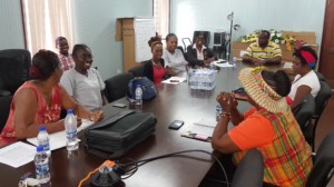 Consultation on the Box Hand held at the Department of Environment Conference Room