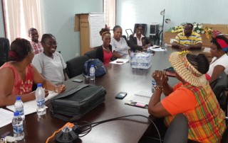 Consultation on the Box Hand held at the Department of Environment Conference Room