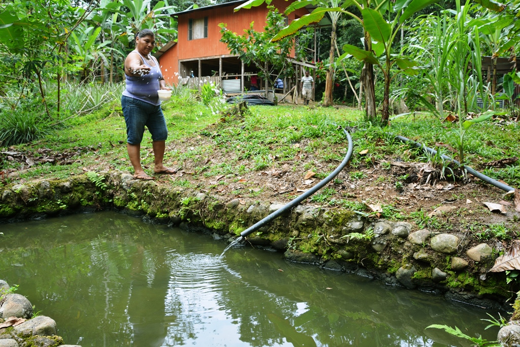 AF project in Costa Rica is working on different levels to address climate change, including the farm, community, institutional and policy-making levels.