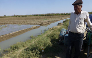 Head of Sakarchaga farmers’ brigade observing field irrigation. Photo: UNDP Turkmenistan