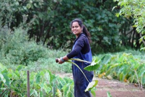 Rourumaro Papatua in her taro patch. Photo: Melina Tuiravakai, Climate Change Cook Islands