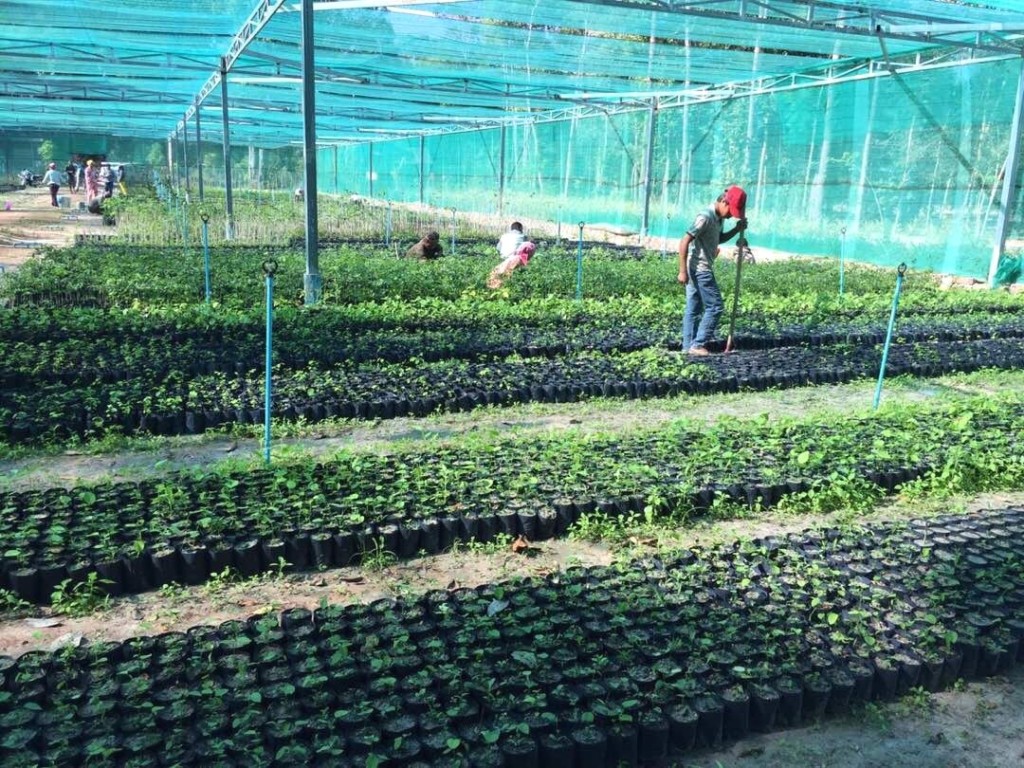 UN Environment: Rural Communities in Cambodia Find Ways to Overcome Impacts of Climate Change