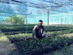 Project Manager Ouk Navann working the nursery trees.