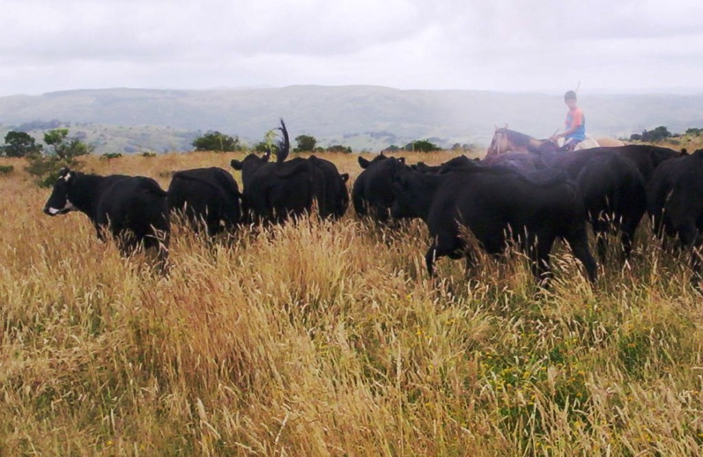 Uruguay: Marta Martínez and Margarita García