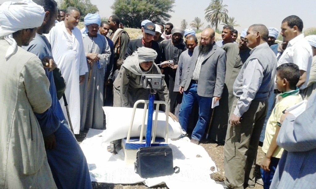 Estimation of wheat yield from the project sites in Negoe’ Kebly, Esna district of Luxor governorate. Photo: courtesy of Mr. Mohamed Mahdy