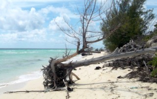 Hurricane and storm damage is evident in the coastal zone, Bahamas. Photo by Angela Churie Kallhauge.