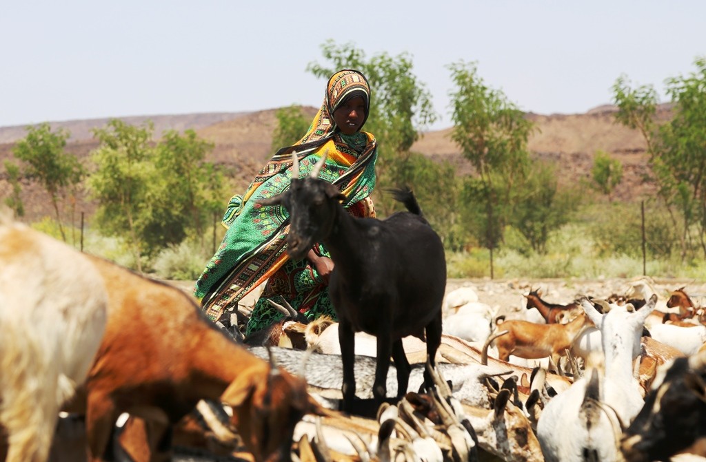 Streamlined Access and Regional Approaches Strive to Create Greater Efficiency