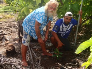 The project aims to protect coastlines in the Cook Islands. Photo: SRIC-CC