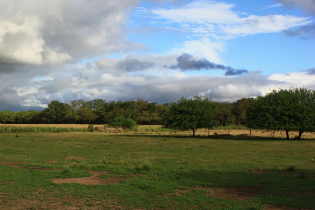 Argentina: Mateo Perez & Anses Justo