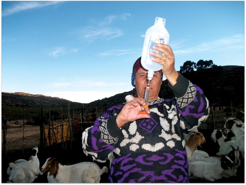 Katrina Schwartz is a livestock farmer who has been involved in the Savings and Credit Groups (SCG’s) initiated by Save Act in the village of Leliefontein, Northern Cape, South Africa. Photo by Rouchette Daniels, Conservation South Africa.