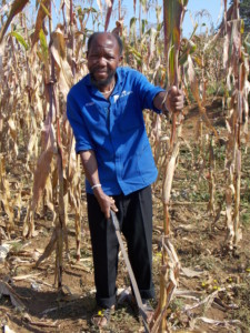 With changing rainfall patterns in Swayimane, Mr Joseph Ncube has learnt of the opportunities provided in night mist to help grow his crops. Through interacting closely with the uMngeni Resilience Project team, his maize and vegetable garden has helped him increase in both maize and beans production. The project has also helped him save money from buying seeds for his vegetable garden.