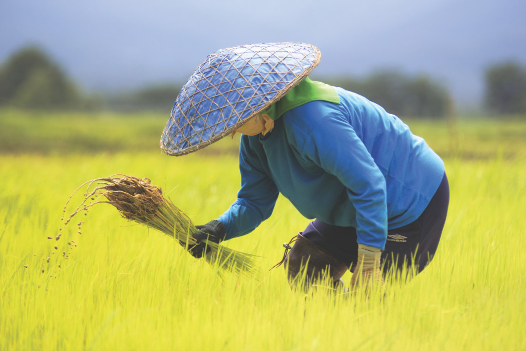 Sweden: An Adaptation Fund Contributor Toward a More Sustainable World