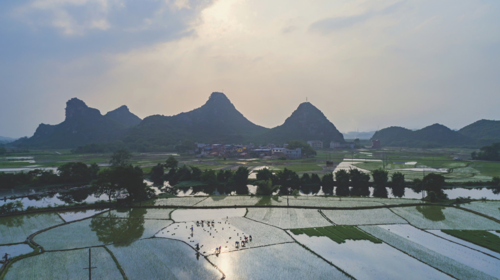 Germanwatch: 10 Years of Active Civil Society Engagement in the Adaptation Fund