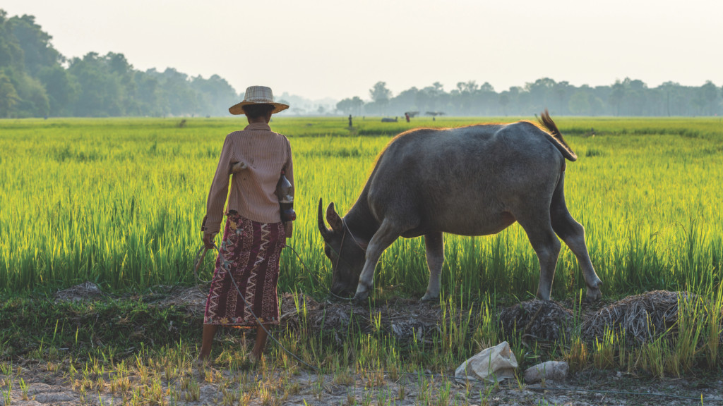 Patricia Espinosa, UNFCCC: Adaptation Fund’s 10th Anniversary – Significant Contribution to Progress on Climate Change