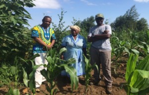 Mrs Lungeleni Sibiya is a small scale farmer from Swayimani.