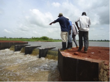 Anti-salt barriers strengthened protection of inland areas against salinization, including agricultural lands endangered from sea rise and flooding in vulnerable Senegal communities. Photo: CSE