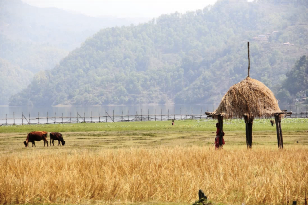 Adaptation Fund Five-Year Strategy Fosters Activities Based on Pillars of Action, Innovation, and Learning and Sharing