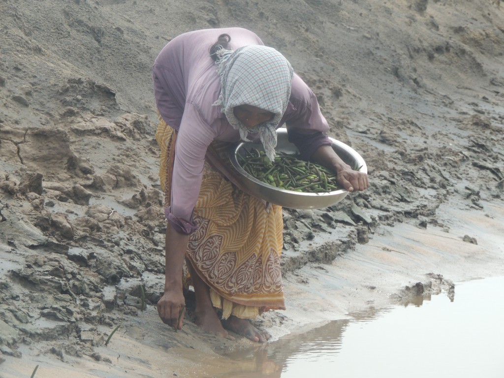 Adaptation Fund in India