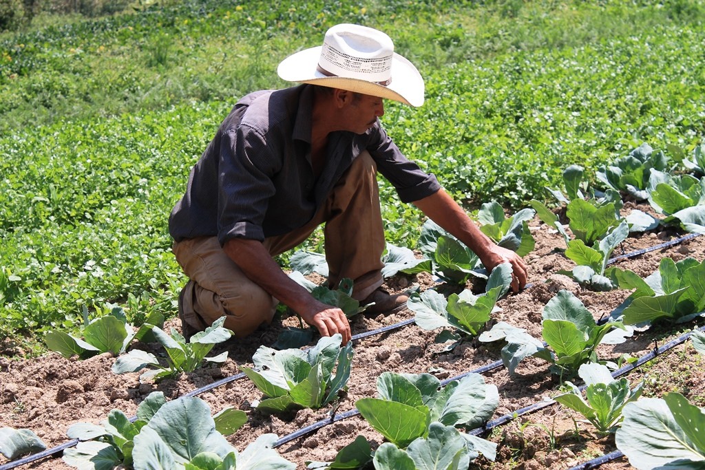 Adaptation Fund Releases New Publication to Share Lessons Learned and Best Practices from Project Sites