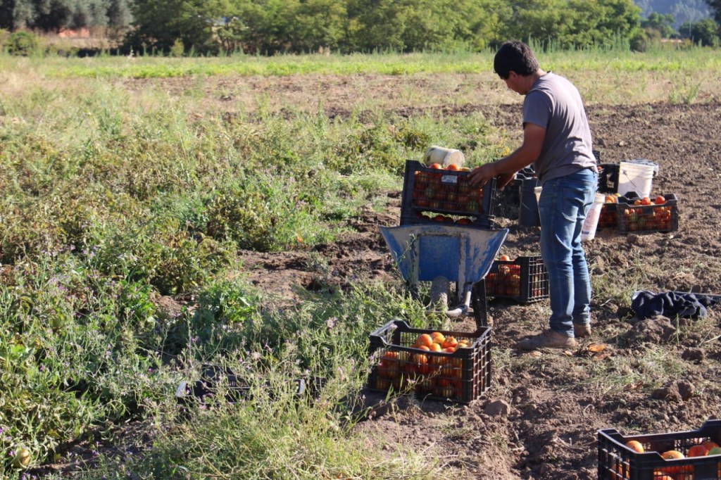Adaptation Fund and National Implementing Partner AGCID-Chile to Host Country Learning Exchange in Chile