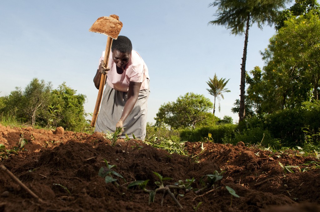 Adaptation Fund Project Story- Regional Project in Ethiopia, Kenya and Uganda