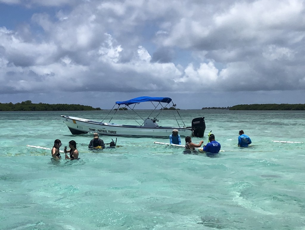 Adaptation Fund Belize Marine Conservation and Resilience Project Featured in New York Film Academy Series