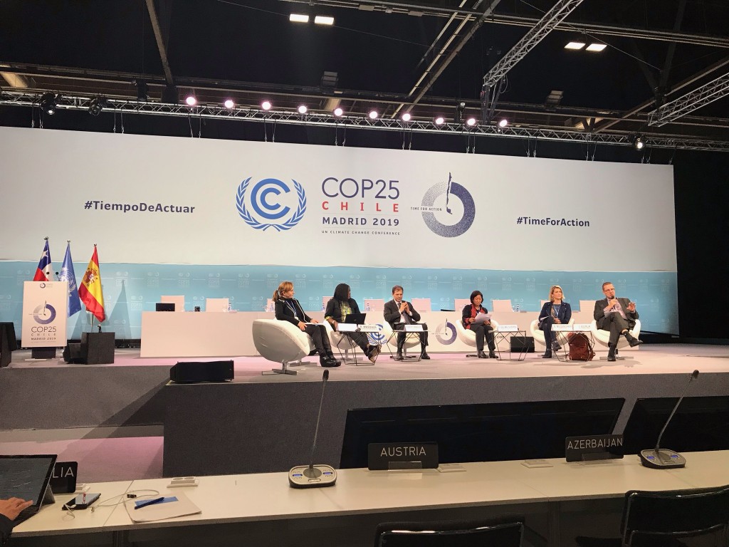Pair of Decisions Made at COP 25 Help Solidify Institutional Arrangements of Adaptation Fund
