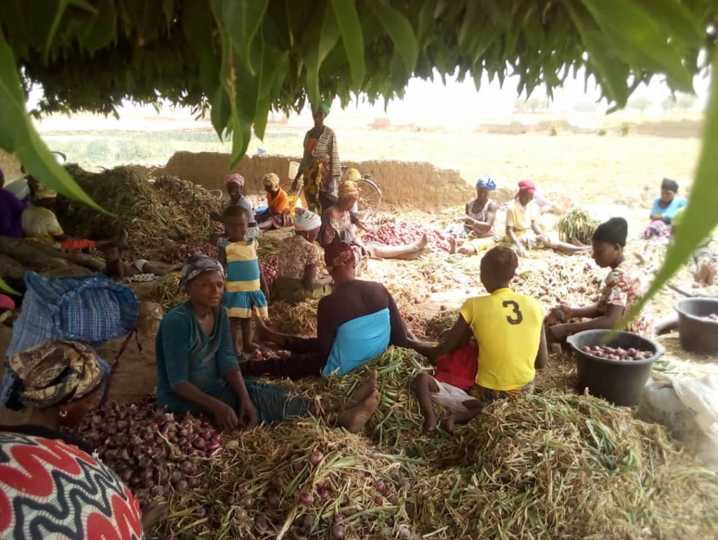 Adaptation Fund Projects Build Climate Resilience While Promoting Sustainable Development