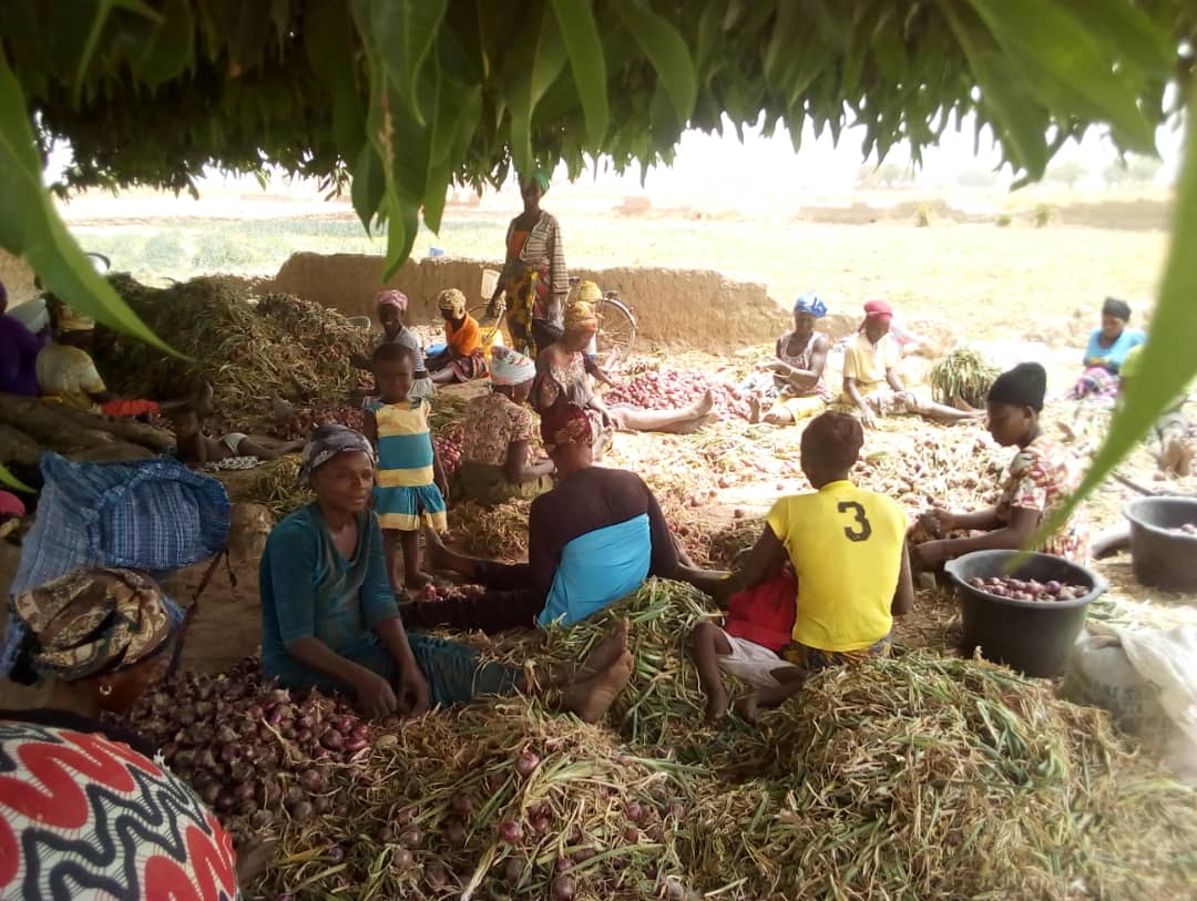 Adaptation Fund Projects Build Climate Resilience While Promoting 