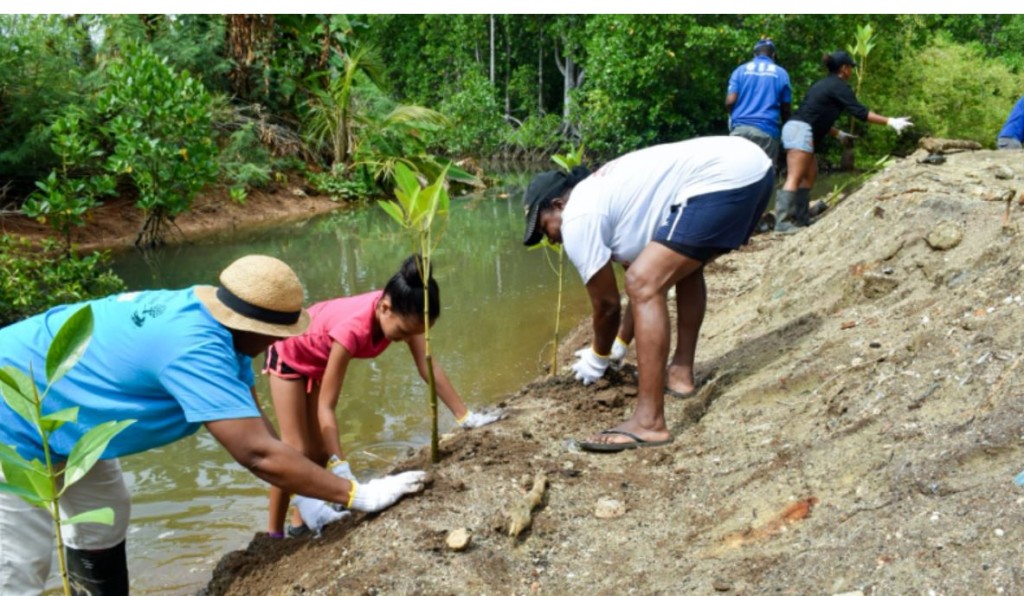 Ecosystem-based adaptation project reduces flood risk in Seychelles