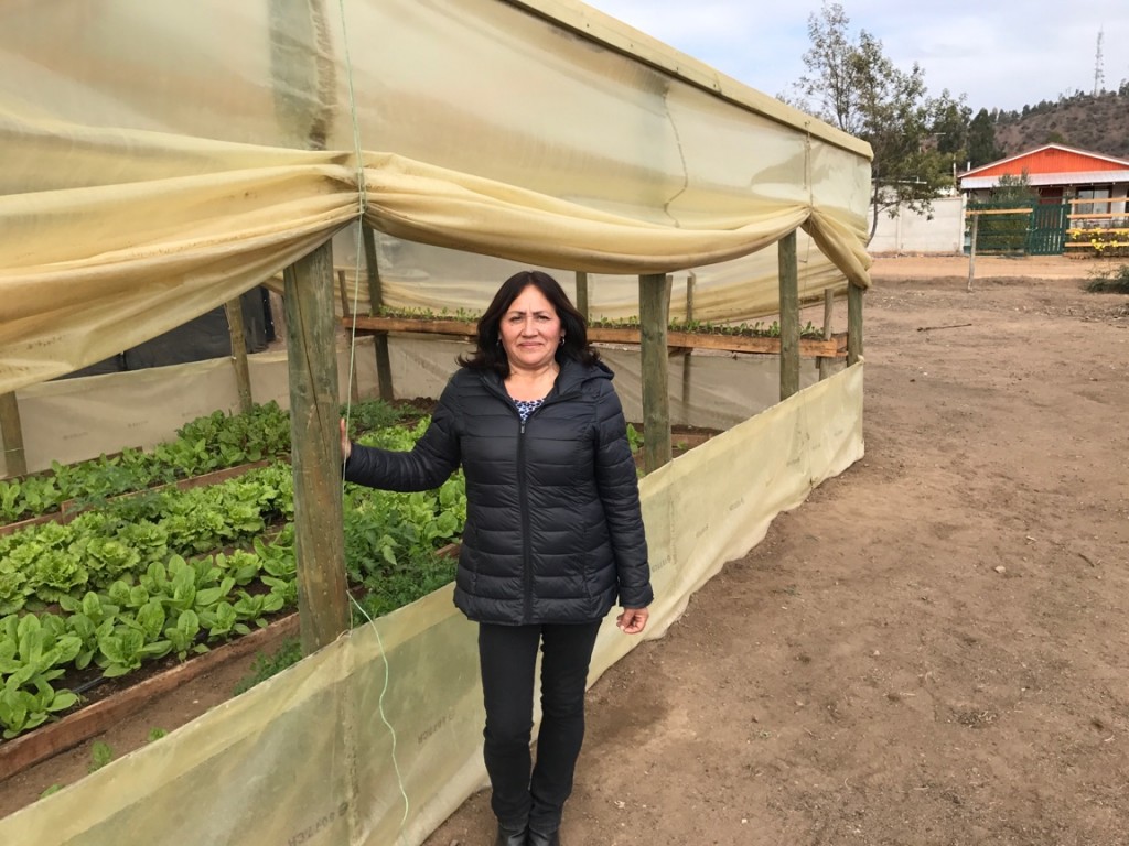 BLOG: Value of Re-Accreditation in Advancing Adaptation Practices on the Ground