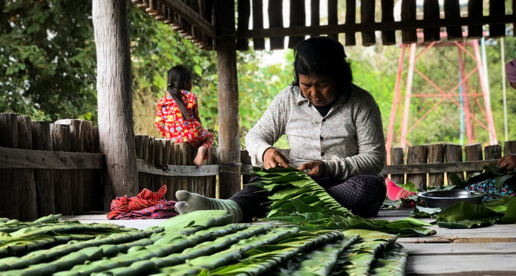 New Adaptation Fund Study Showcases Effective Locally-Led Actions On the Ground