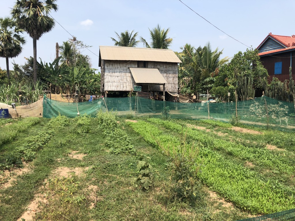 Adaptation Fund Accredits UNIDO as its 52nd Implementing Entity to Further Adaptation Action