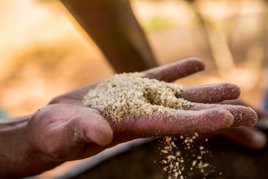 Adaptation Fund Raises Nearly US$ 116 Million in New Pledges for Adaptation Action in Most Vulnerable Countries