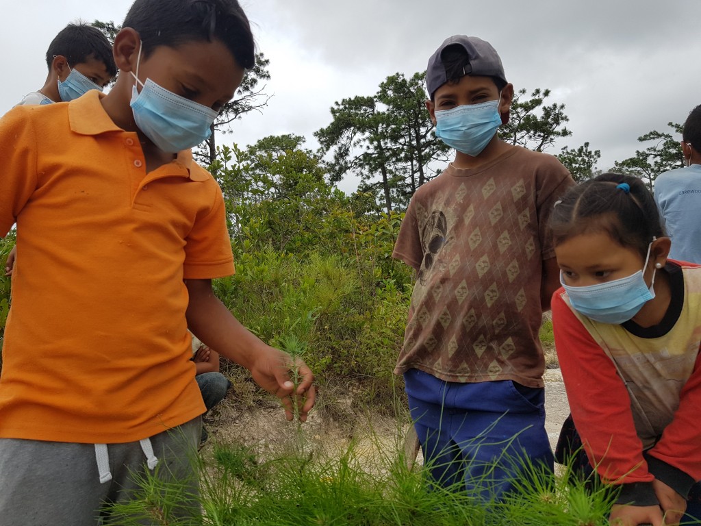 Notification to Implementing Entities of the Adaptation Fund regarding Fund’s response to COVID-19 and adaptive measures to mitigate impacts on its portfolio of projects