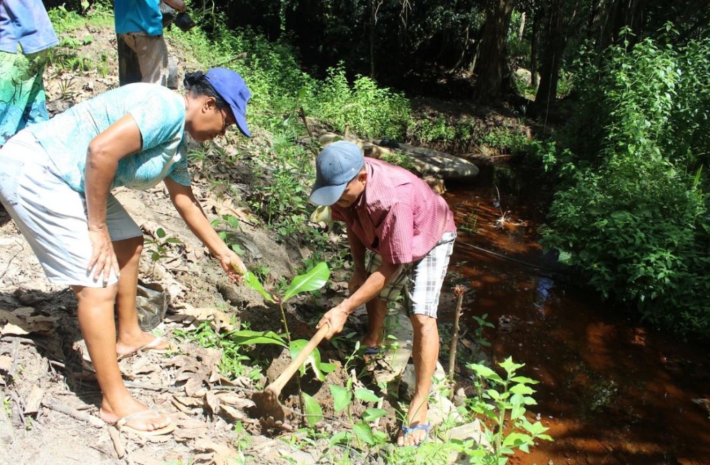 UNDP Seychelles: Farming for Life
