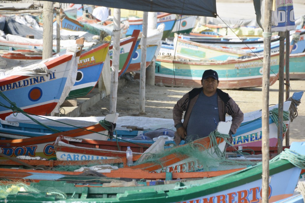 Adaptation Fund Project Story – Peru