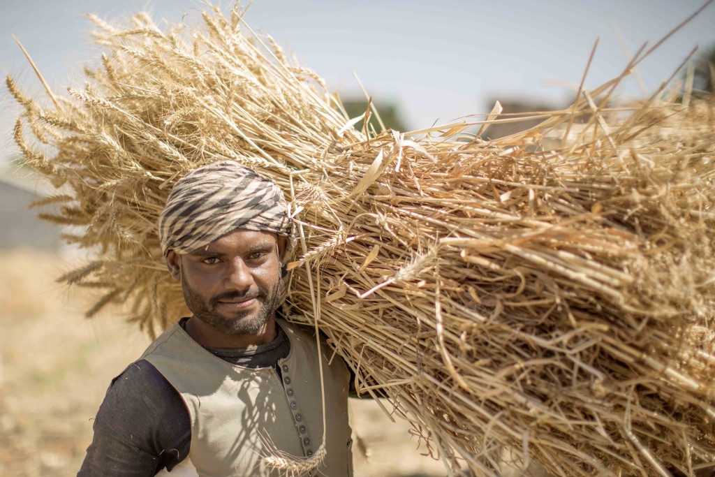 New Study: Adaptation Fund paper shows resilience-building through food security interventions