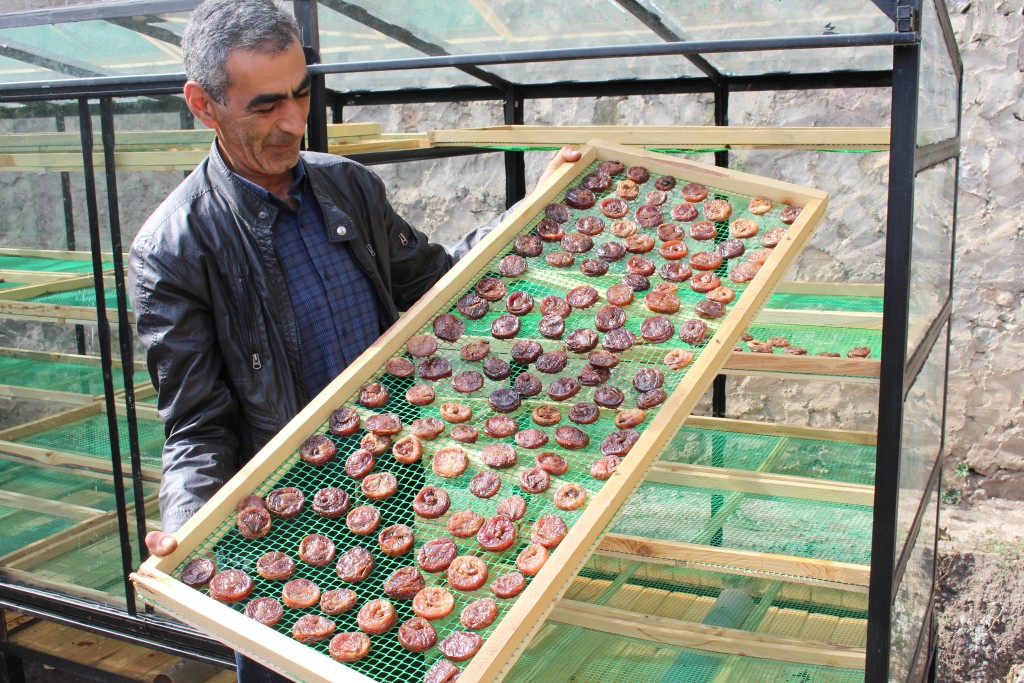 [Newsletter] Adaptation Fund: Caps Accomplished Year with Eye to Promising 2023