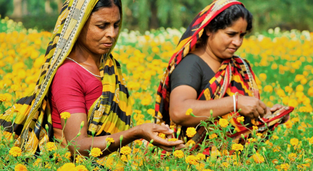 [Global Center on Adaptation] AF announces contribution to the 2023 GCA Local Adaptation Champions Awards